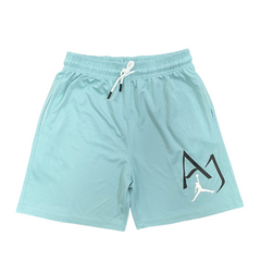 Jordan Light Blue Shorts