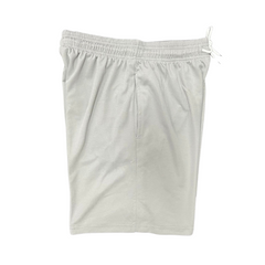 Jordan Grey Shorts