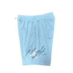 Jordan Light Blue Black and White Shorts
