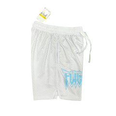 Jordan White and Light Blue Shorts