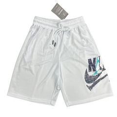 Nike Air Jordan White Grey Blue Shorts